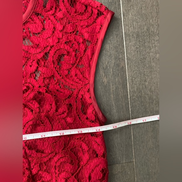 Banana Republic Red Lace Dress - Picture 10 of 11